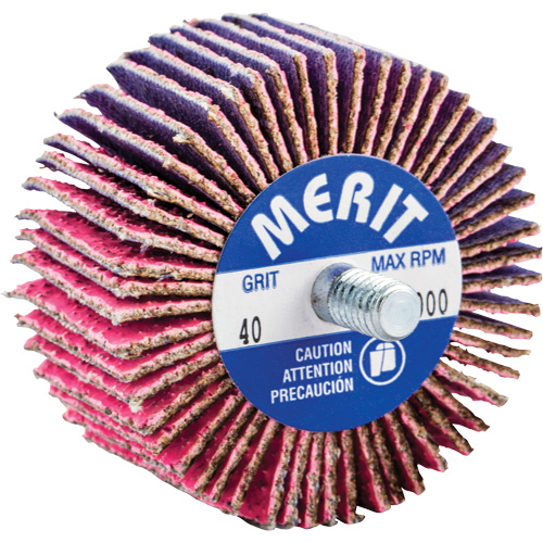 Mini-meule &agrave; lamelles filet&eacute;es, C&eacute;ramique d'alumine, Grain 40, 2" x 1" x 1/4"-20 Nia-Chem Ltd.