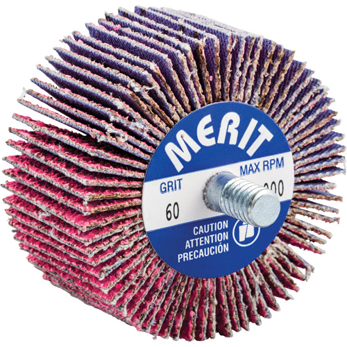 Mini-meule &agrave; lamelles filet&eacute;es, C&eacute;ramique d'alumine, Grain 60, 2" x 1" x 1/4"-20 Nia-Chem Ltd.