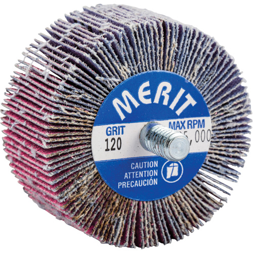 Mini-meule &agrave; lamelles filet&eacute;es, C&eacute;ramique d'alumine, Grain 120, 2" x 1" x 1/4"-20 Nia-Chem Ltd.