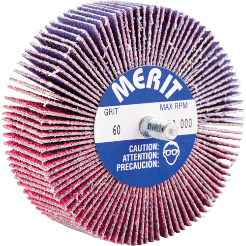 Threaded Mini Flap Wheel, Ceramic Alumina, 60 Grit, 3" x 1" x 1/4"-20 Nia-Chem Ltd.