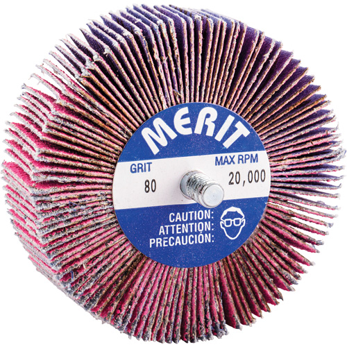 Mini-meule &agrave; lamelles filet&eacute;es, C&eacute;ramique d'alumine, Grain 80, 3" x 1" x 1/4"-20 Nia-Chem Ltd.