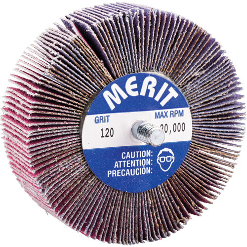 Mini-meule &agrave; lamelles filet&eacute;es, C&eacute;ramique d'alumine, Grain 120, 3" x 1" x 1/4"-20 Nia-Chem Ltd.