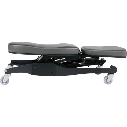 Chaise ergonomique Flex III Nia-Chem Ltd.
