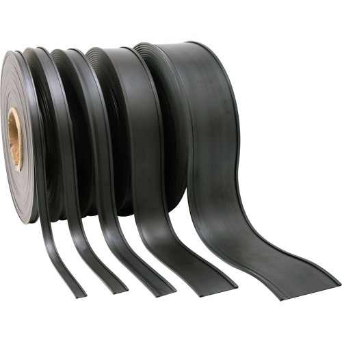 Porte-&eacute;tiquette, Magn&eacute;tique, 600" lo x 2" la Nia-Chem Ltd.