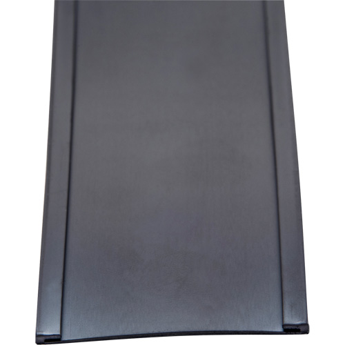 Porte-&eacute;tiquette, Magn&eacute;tique, 600" lo x 2" la Nia-Chem Ltd.