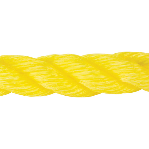 Corde jaune tress&eacute;e, Polypropyl&egrave;ne, 300' Nia-Chem Ltd.