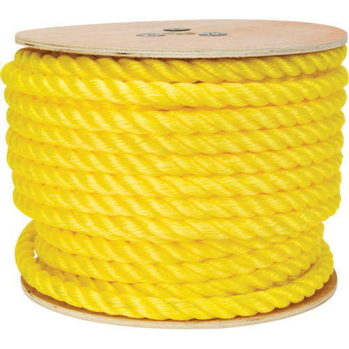 Corde jaune tress&eacute;e, Polypropyl&egrave;ne, 144' Nia-Chem Ltd.