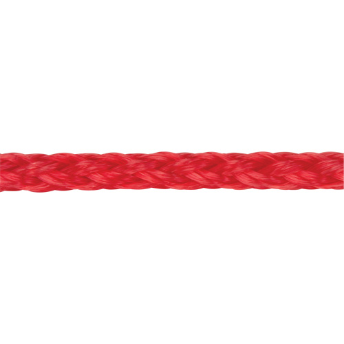 Corde rouge tress&eacute;e, Polypropyl&egrave;ne, 500' Nia-Chem Ltd.