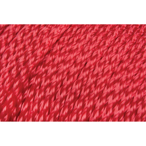 Corde rouge tress&eacute;e, Polypropyl&egrave;ne, 500' Nia-Chem Ltd.