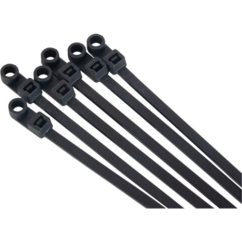 Attache-c&acirc;ble &agrave; visser, Longueur 8", R&eacute;sistance &agrave; la traction 50 lb, Noir Nia-Chem Ltd.
