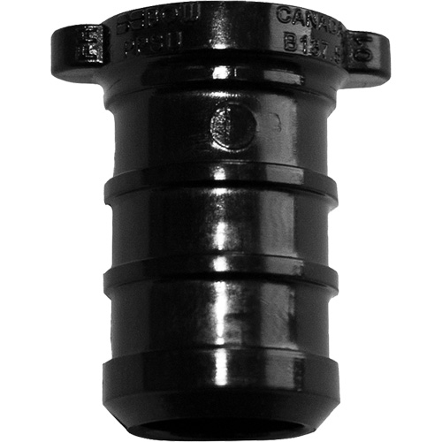 Pipe Plug, Pipe, 1/2" Dia., Polyalloy Nia-Chem Ltd.