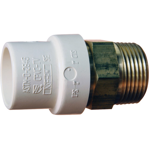 Threaded Pipe Adapter, Hub x MPT, 1-1/4" Dia., Brass/CPVC Nia-Chem Ltd.
