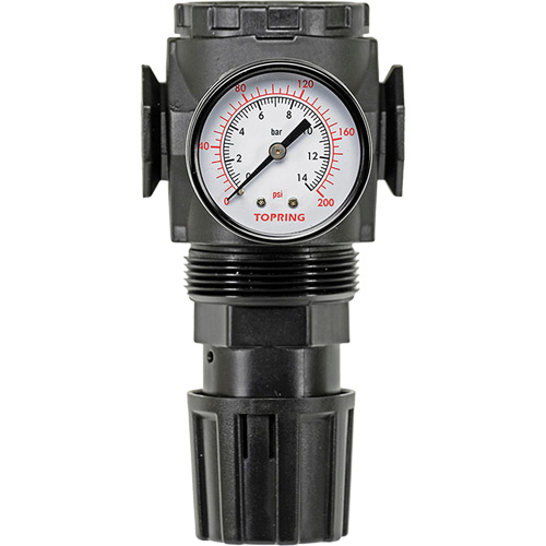 Regulator with Gauge Modulair 300, 1/4" NPT, 300 psi Max. PSI, In Line/Modular Nia-Chem Ltd.