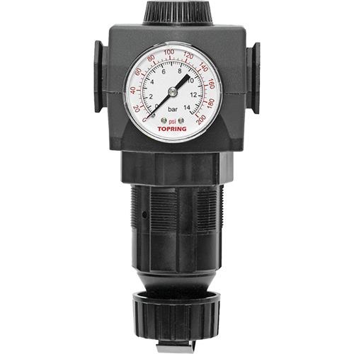 Regulator with Gauge Modulair 400, 3/4" NPTF, 125 PSI Max. PSI, In Line/Modular Nia-Chem Ltd.