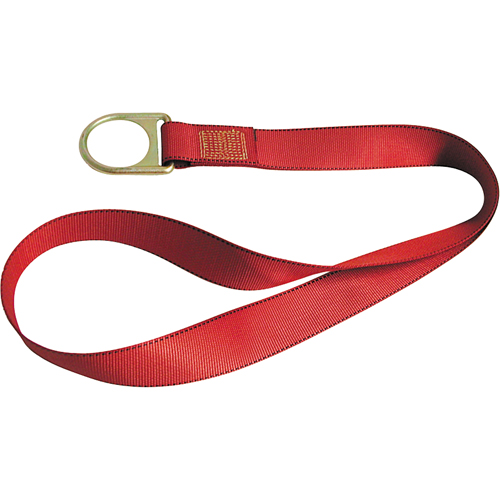 PointGuard Anchorage Connector Straps, D-Ring, Temporary Use Nia-Chem Ltd.