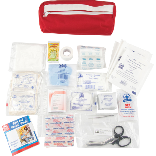 First Aid Kit, Class 1 Medical Device, Nylon Bag Nia-Chem Ltd.