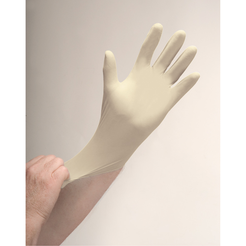 Premium Sensitive Skin Examination Gloves, X-Large, Latex, 4-mil, Powder-Free, Natural Nia-Chem Ltd.
