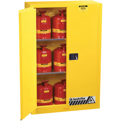 Armoires Sure-Grip EX pour produits inflammables, 45 gal., 2 Porte(s), 43" La x 65" h x 18" p Nia-Chem Ltd.
