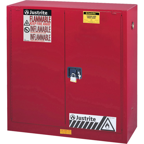 Sure-Grip&reg; EX Combustibles Safety Cabinet for Paint and Ink, 40 gal., 3 Shelves Nia-Chem Ltd.