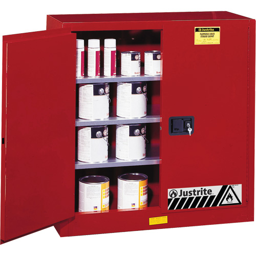 Sure-Grip&reg; EX Combustibles Safety Cabinet for Paint and Ink, 40 gal., 3 Shelves Nia-Chem Ltd.