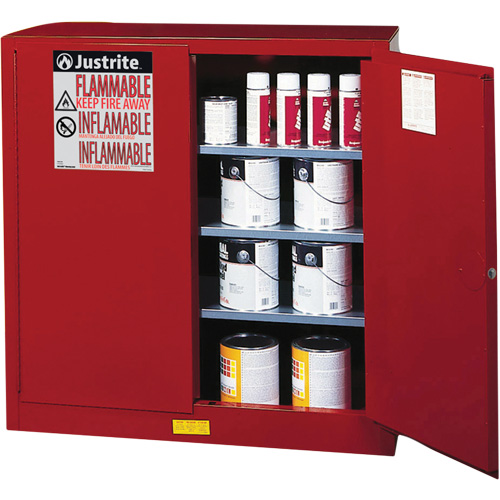 Sure-Grip&reg; EX Combustibles Safety Cabinet for Paint and Ink, 40 gal., 3 Shelves Nia-Chem Ltd.