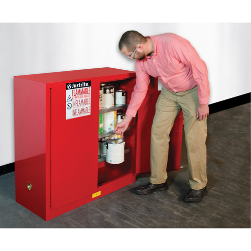 Sure-Grip&reg; EX Combustibles Safety Cabinet for Paint and Ink, 40 gal., 3 Shelves Nia-Chem Ltd.