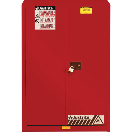 Sure-Grip&reg; EX Combustibles Safety Cabinet for Paint and Ink, 60 gal., 5 Shelves Nia-Chem Ltd.