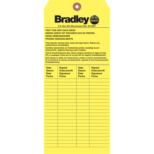 Inspection Tag, Paper, 3-6/8" W x 5-7/8" H, English Nia-Chem Ltd.