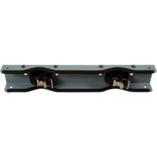 Wall Mount Double Gas Cylinder Support Bracket Nia-Chem Ltd.