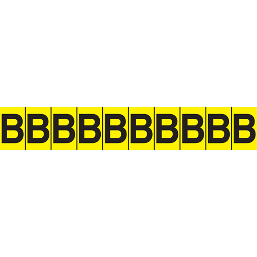 Rep&egrave;res adh&eacute;sifs &agrave; lettres individuelles, E, 1" h, Noir sur jaune Nia-Chem Ltd.