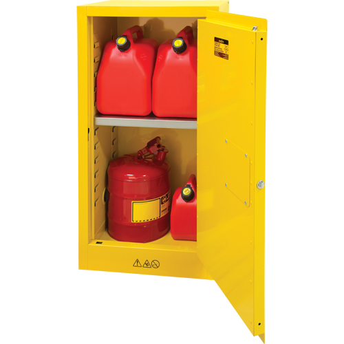 Armoire pour produits inflammables, 16 gal., 1 Porte(s), 23" La x 44" h x 18" p Nia-Chem Ltd.