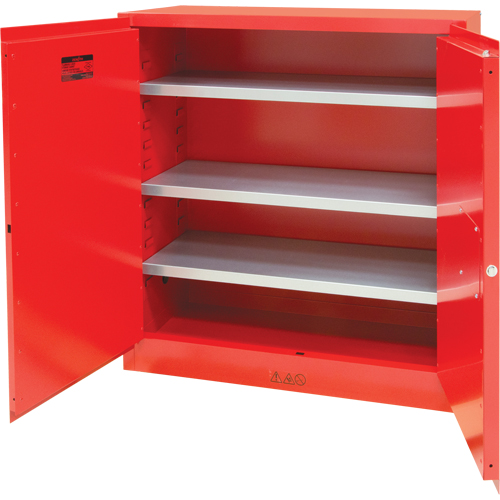 Paint/Ink Cabinet, 45 gal., 3 Shelves Nia-Chem Ltd.