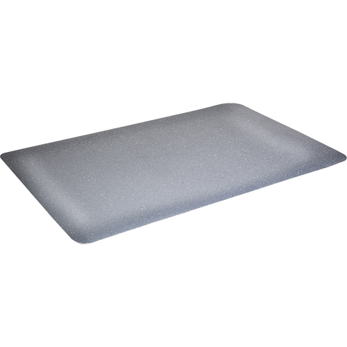 Tapis antimicrobiens WD Foodmaster, Lisse, 3' x 4' x 9/16", Gris, Mousse de vinyle Nia-Chem Ltd.