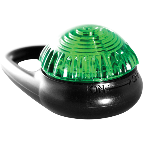 Clignotant d'avertissement Guardian TAG-IT, Continu/Clignotement, Vert Nia-Chem Ltd.