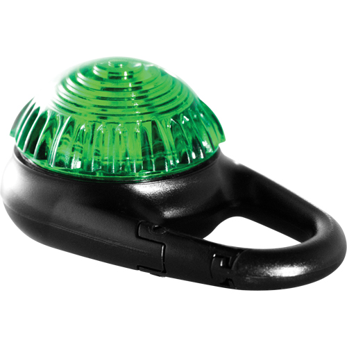 Clignotant d'avertissement Guardian TAG-IT, Continu/Clignotement, Vert Nia-Chem Ltd.