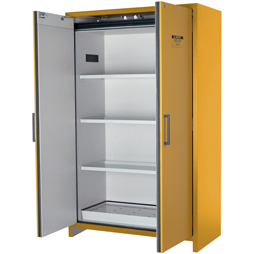 Armoire d'entreposage 90 minutes s&eacute;curitaire et conforme &agrave; la norme EN, 45 gal., 2 Porte(s), 46,97" La x 76,89" h x 24,21" p Nia-Chem Ltd.