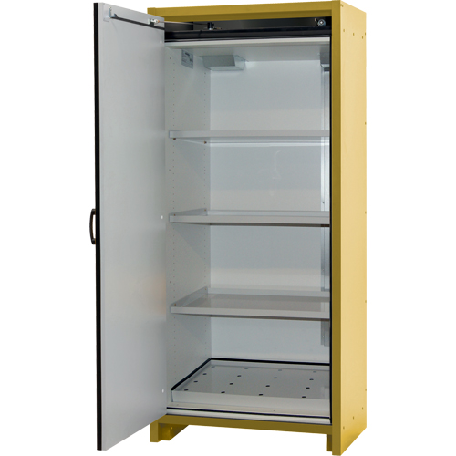 Armoire d'entreposage 30 minutes s&eacute;curitaire et conforme &agrave; la norme EN, 30 gal., 1 Porte(s), 34,02" La x 76,65" h x 24,21" p Nia-Chem Ltd.