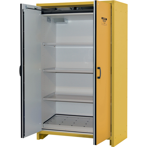 Armoire d'entreposage 30 minutes s&eacute;curitaire et conforme &agrave; la norme EN, 45 gal., 2 Porte(s), 45,83" La x 76,65" h x 24,21" p Nia-Chem Ltd.