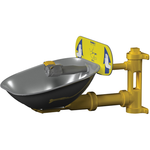 Poste de douche oculaire Halo, Installation Montage mural, Bol Acier inoxydable Nia-Chem Ltd.