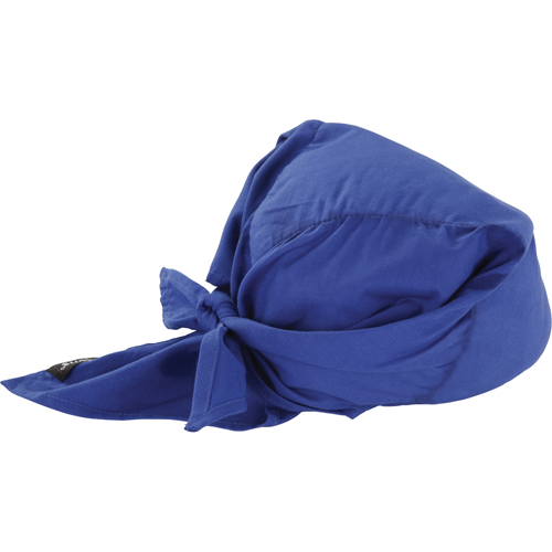 Foulards de refroidissement en triangle Chill-Its 6710CT, Bleu Nia-Chem Ltd.