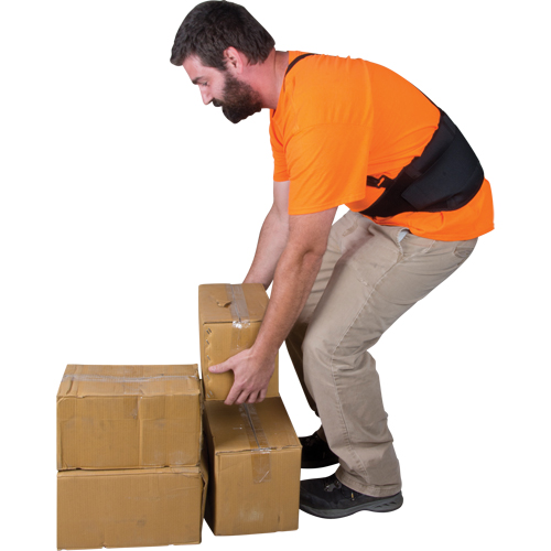 Support lombaire, &eacute;lastique, Petit Nia-Chem Ltd.