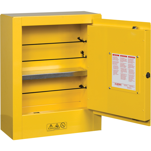 Mini-armoires de s&eacute;curit&eacute; Sure-Grip EX pour produits inflammables, 2 gal., 1 Porte(s), 17" La x 22" h x 8" p Nia-Chem Ltd.