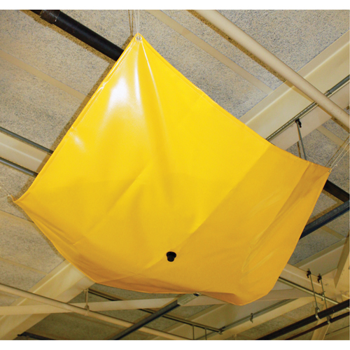 D&eacute;viateurs de fuite de toiture Drip Dam Nia-Chem Ltd.