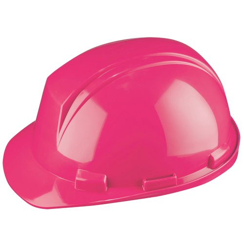 Dynamic Mont-Blanc Hardhat, Meets CSA Type 2, Pinlock Suspension, Non-Vented Nia-Chem Ltd.