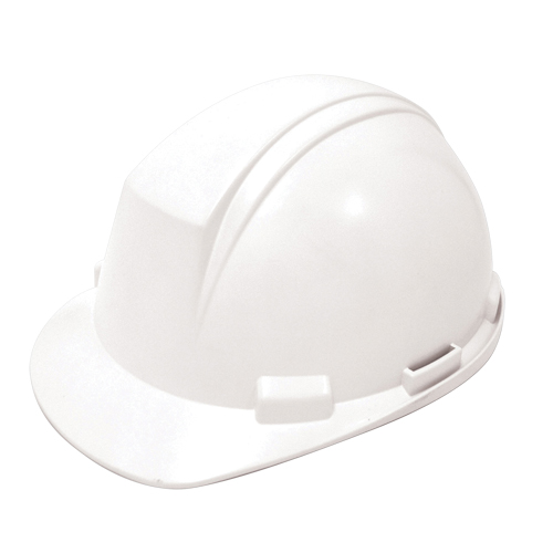 Dynamic Mont-Blanc Hardhat, ANSI Type II/CSA Type 2, Pinlock Suspension Nia-Chem Ltd.