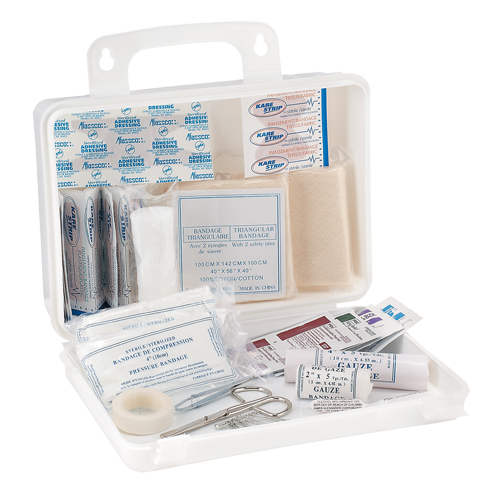 Trousse de premiers soins pour camion Dynamic, Dispositif m&eacute;dical Classe 1, Boîte en plastique Nia-Chem Ltd.