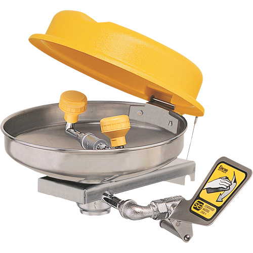 Eyewash Station, Wall-Mount Installation, Stainless Steel Bowl Nia-Chem Ltd.