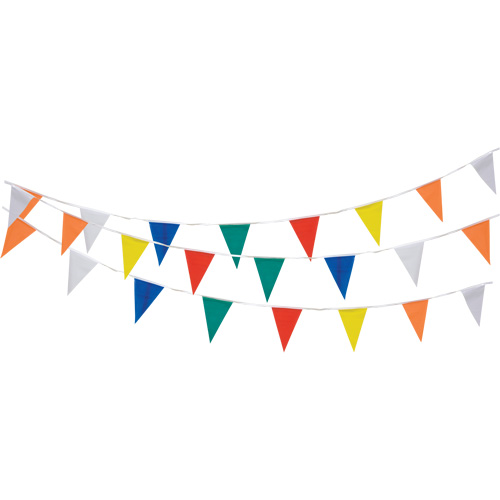 Pennant String, 60' L, Multicolour Nia-Chem Ltd.