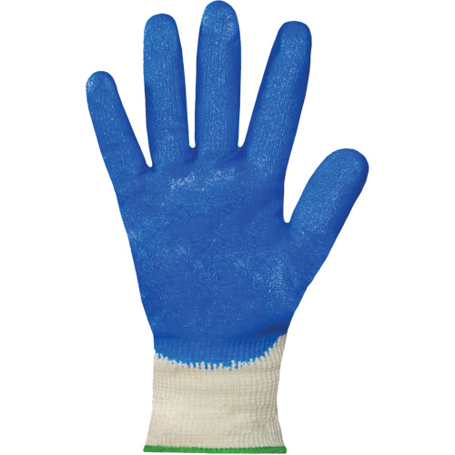 Dexterity&reg; Coated Gloves, 7, Nitrile Coating, 15 Gauge, Cotton Shell Nia-Chem Ltd.