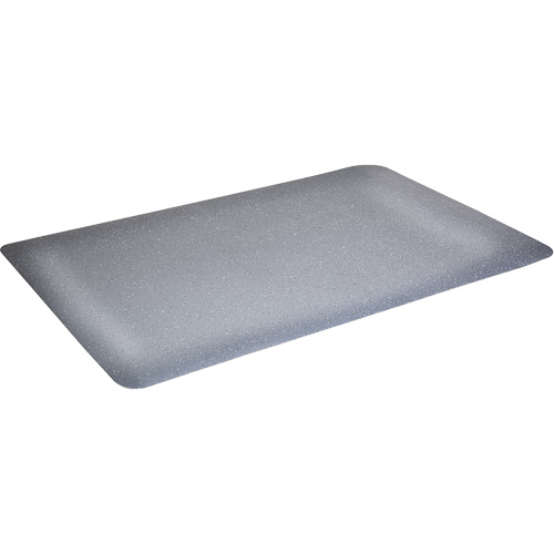 Tapis antimicrobiens WD Foodmaster, Lisse, 3' x 4' x 9/16", Gris, Nitrile/Caoutchouc Nia-Chem Ltd.